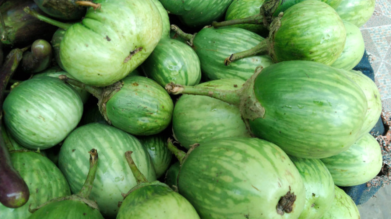 রোজার প্রথমদিনেই বেগুনের সেঞ্চুরি