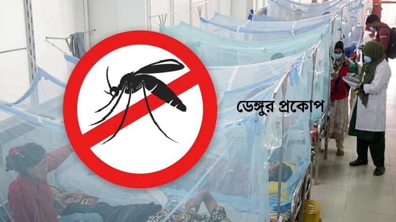 ডেঙ্গুর ভয়ংকর বিস্তার: একদিনে ৯ প্রাণহান