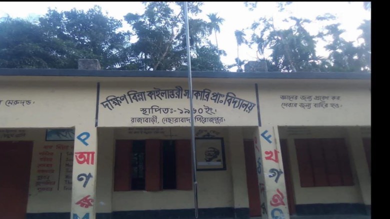 নেছারাবাদে স্কুল ফিডিংয়ের ৩০ প্যাকেট দুধ
